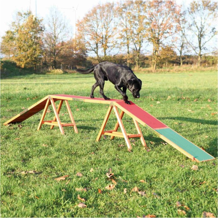 AGILITY nácviková lávka pro psy