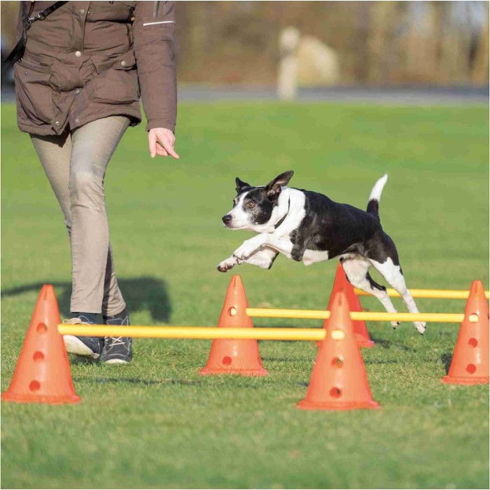 AGILITY překážka pro psy, kužely a tyče